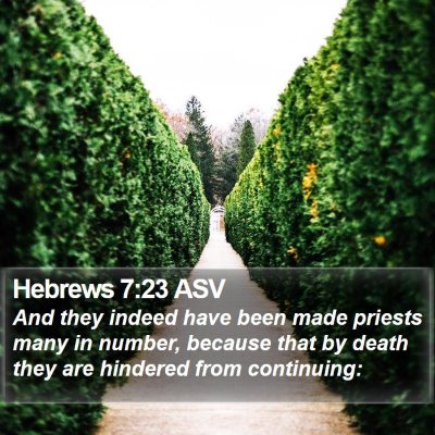 Hebrews 7:23 ASV Bible Verse Image