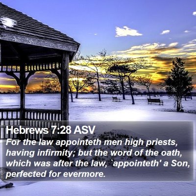 Hebrews 7:28 ASV Bible Verse Image