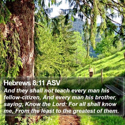 Hebrews 8:11 ASV Bible Verse Image