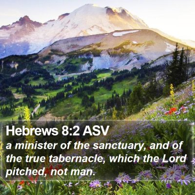 Hebrews 8:2 ASV Bible Verse Image