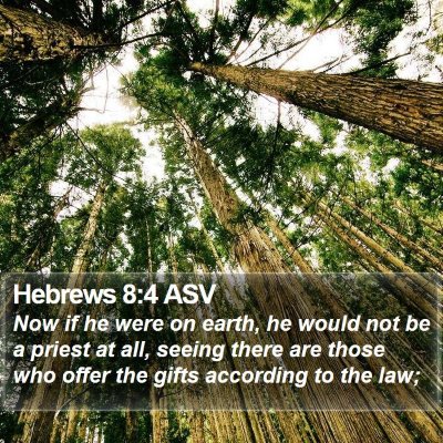 Hebrews 8:4 ASV Bible Verse Image