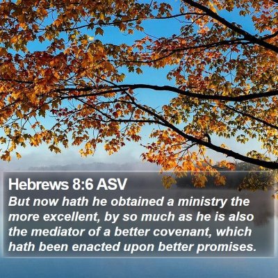 Hebrews 8:6 ASV Bible Verse Image