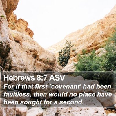 Hebrews 8:7 ASV Bible Verse Image