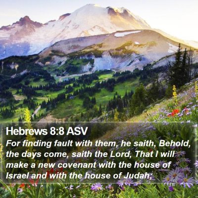 Hebrews 8:8 ASV Bible Verse Image
