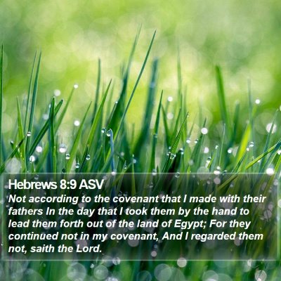 Hebrews 8:9 ASV Bible Verse Image