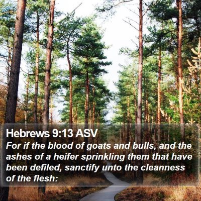 Hebrews 9:13 ASV Bible Verse Image