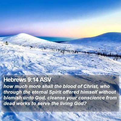 Hebrews 9:14 ASV Bible Verse Image
