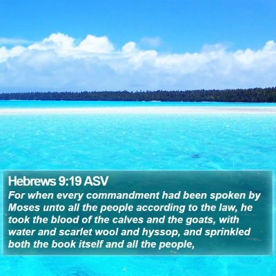 Hebrews 9:19 ASV Bible Verse Image