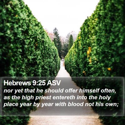 Hebrews 9:25 ASV Bible Verse Image