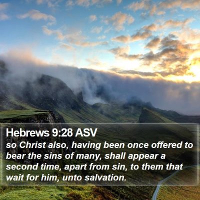 Hebrews 9:28 ASV Bible Verse Image