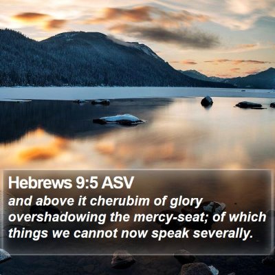 Hebrews 9:5 ASV Bible Verse Image