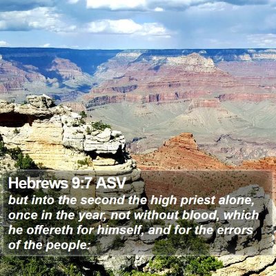 Hebrews 9:7 ASV Bible Verse Image