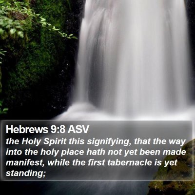 Hebrews 9:8 ASV Bible Verse Image