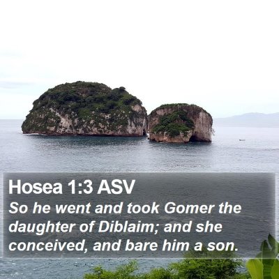 Hosea 1:3 ASV Bible Verse Image
