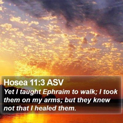 Hosea 11:3 ASV Bible Verse Image