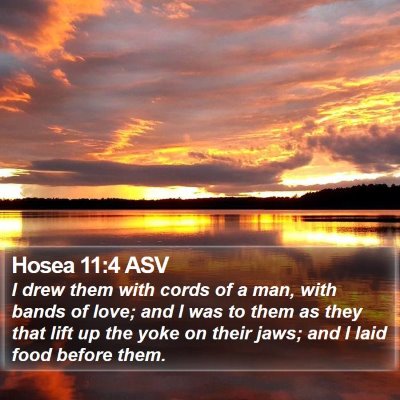 Hosea 11:4 ASV Bible Verse Image