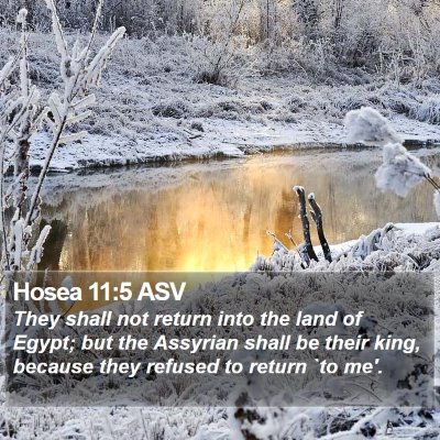 Hosea 11:5 ASV Bible Verse Image