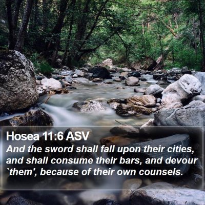 Hosea 11:6 ASV Bible Verse Image