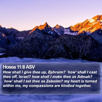 Hosea 11:8 ASV Bible Verse Image