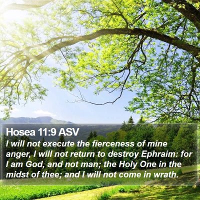 Hosea 11:9 ASV Bible Verse Image
