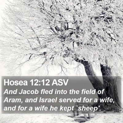 Hosea 12:12 ASV Bible Verse Image