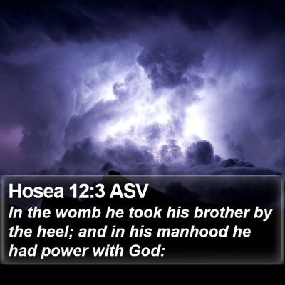 Hosea 12:3 ASV Bible Verse Image