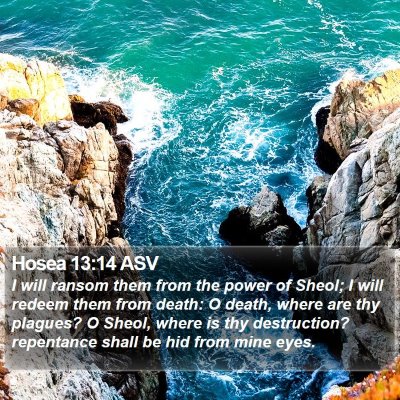 Hosea 13:14 ASV Bible Verse Image