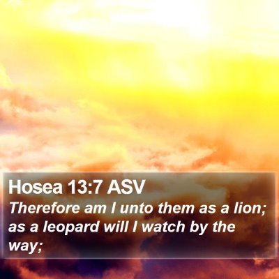 Hosea 13:7 ASV Bible Verse Image