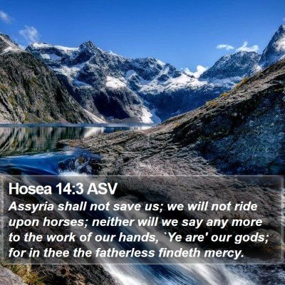 Hosea 14:3 ASV Bible Verse Image