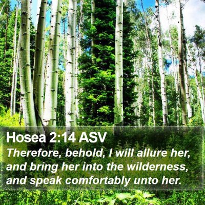 Hosea 2:14 ASV Bible Verse Image