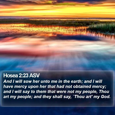Hosea 2:23 ASV Bible Verse Image