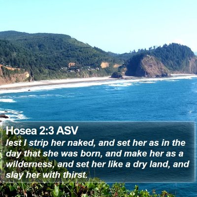 Hosea 2:3 ASV Bible Verse Image