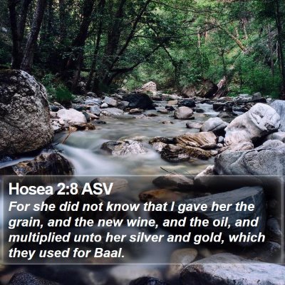 Hosea 2:8 ASV Bible Verse Image
