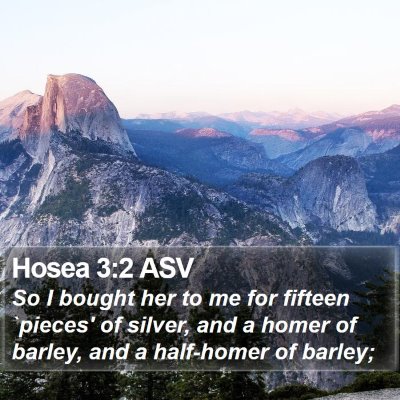 Hosea 3:2 ASV Bible Verse Image