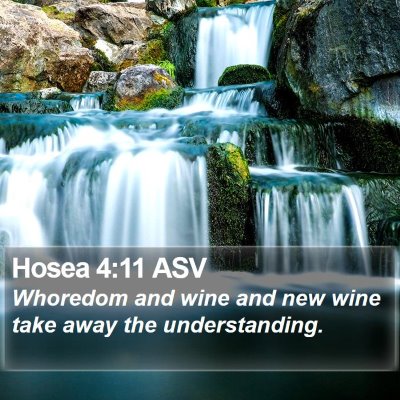 Hosea 4:11 ASV Bible Verse Image