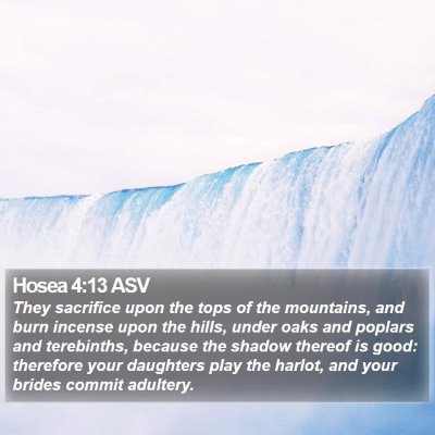 Hosea 4:13 ASV Bible Verse Image
