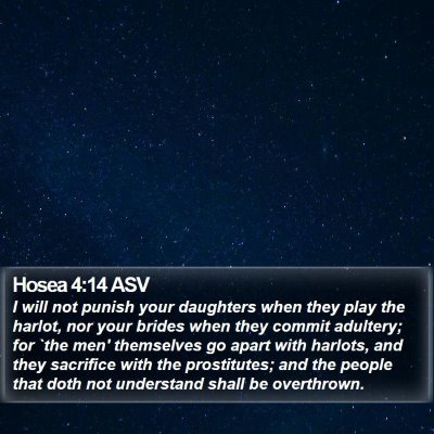 Hosea 4:14 ASV Bible Verse Image