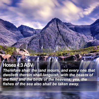 Hosea 4:3 ASV Bible Verse Image