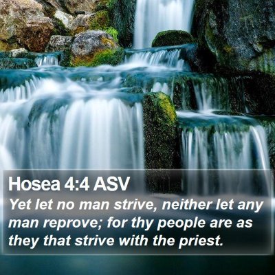 Hosea 4:4 ASV Bible Verse Image