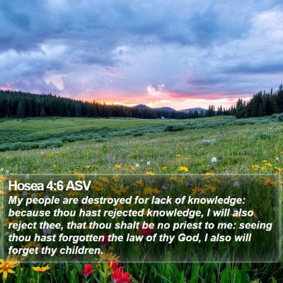 Hosea 4:6 ASV Bible Verse Image