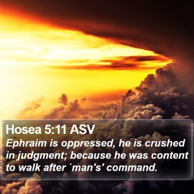 Hosea 5:11 ASV Bible Verse Image
