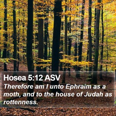 Hosea 5:12 ASV Bible Verse Image