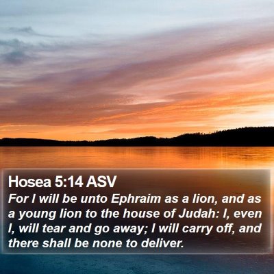 Hosea 5:14 ASV Bible Verse Image