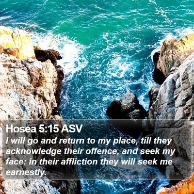 Hosea 5:15 ASV Bible Verse Image