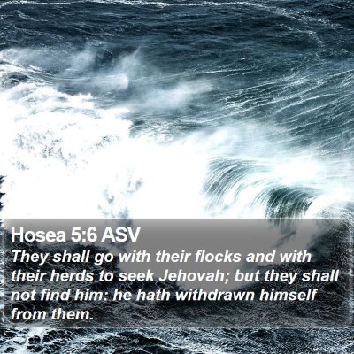 Hosea 5:6 ASV Bible Verse Image