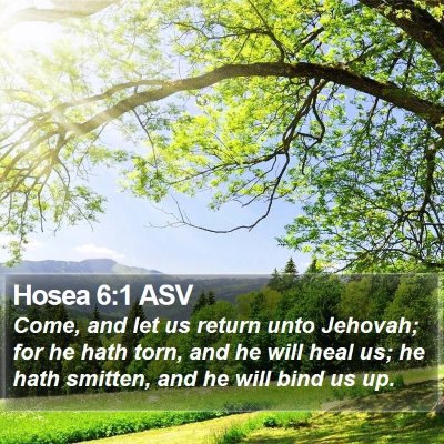 Hosea 6:1 ASV Bible Verse Image