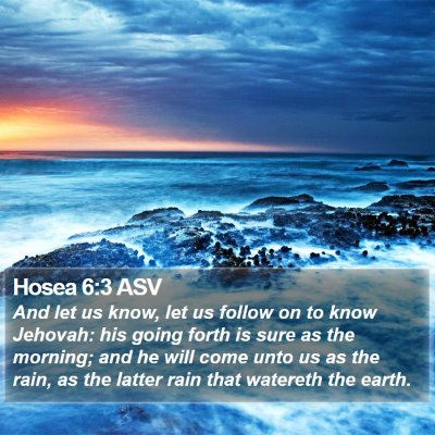 Hosea 6:3 ASV Bible Verse Image