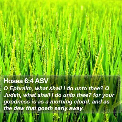 Hosea 6:4 ASV Bible Verse Image