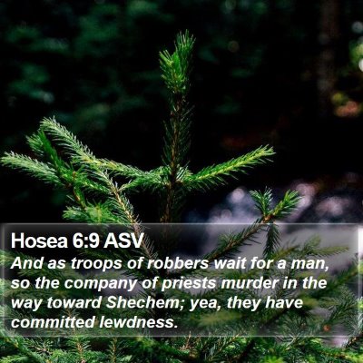 Hosea 6:9 ASV Bible Verse Image
