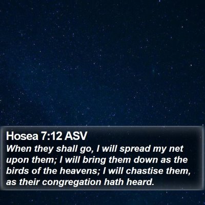 Hosea 7:12 ASV Bible Verse Image